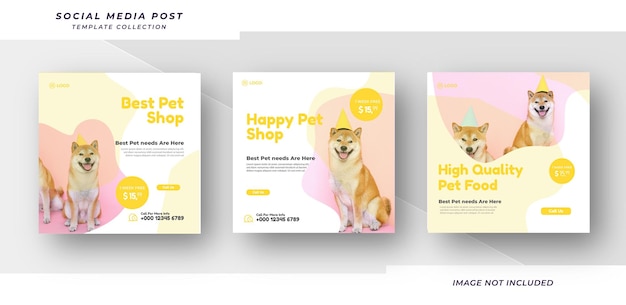 Conception d'un modèle de bannière de médias sociaux pour la promotion d'une animalerie