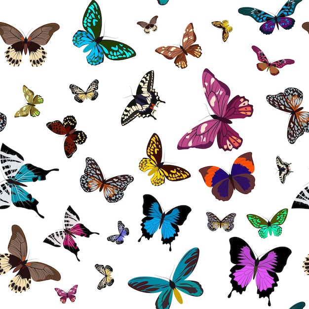 Conception de motifs colorés sans couture avec des papillons Illustration vectorielle