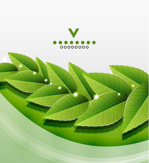 Conception de la nature des feuilles vertes