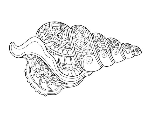 Conception De Page De Coloriage Shell Fond Clair