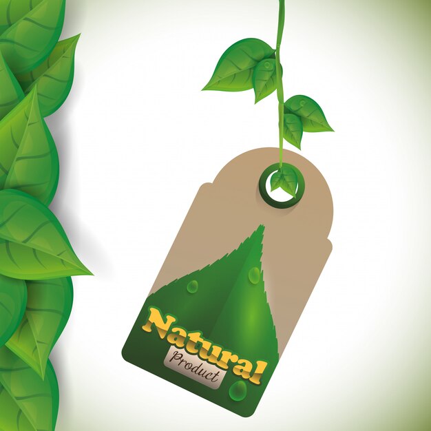 Vecteur conception de produits naturels