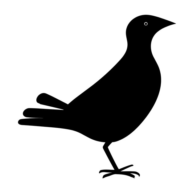 Vecteur conception de silhouette d'oiseau sur fond blanc vector