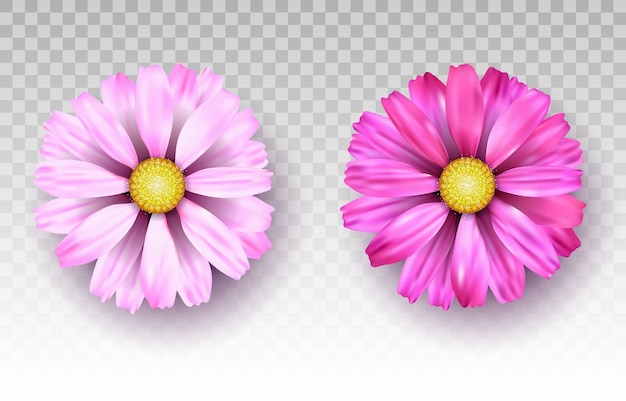 Conception de vecteur de fleurs pour le vecteur de carte de voeux florale de la fête des mères sur png