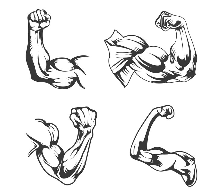 Vecteur conception de vecteur de gym fitness bras musculaires