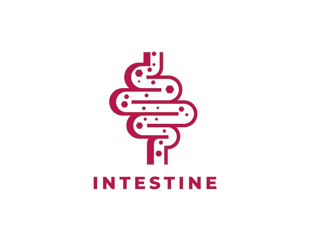 Conception Vectorielle Du Logo De L'intestin Moderne