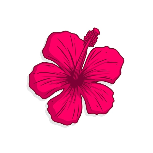 Conception Vectorielle De Fleurs D'hibiscus Rouge