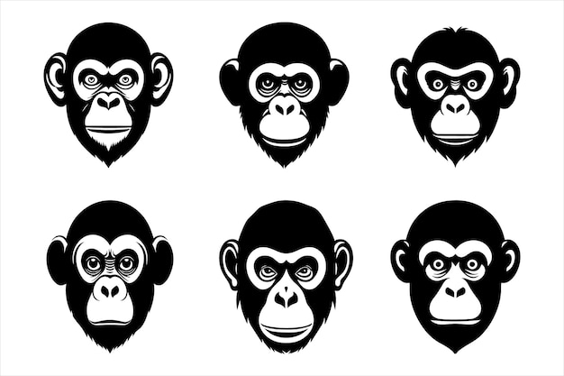 Vecteur conception vectorielle d'une icône de singe