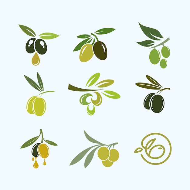Conceptions de symboles de collection de logos d'olive pour les entreprises