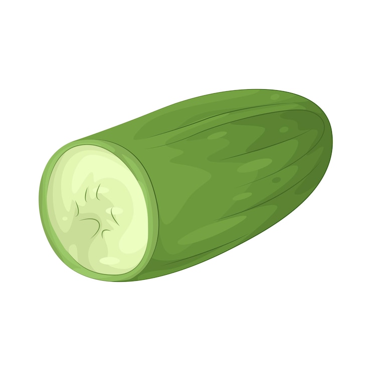 Vecteur concombre
