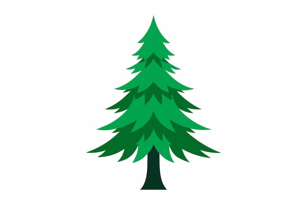Vecteur conifères d'arbres simples