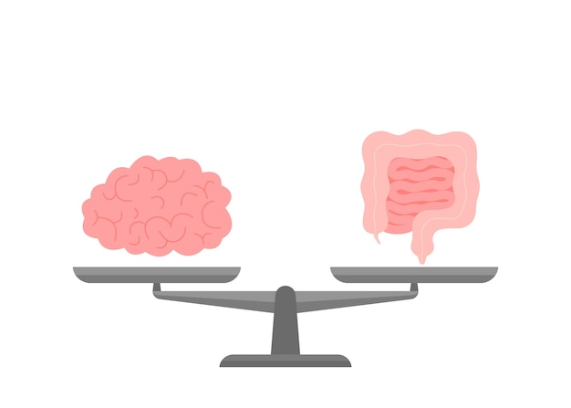 Connexion Et égalité Santé Du Cerveau Et De L'intestin Intestin à L'échelle Relation Santé Du Cerveau Et De L'intestin