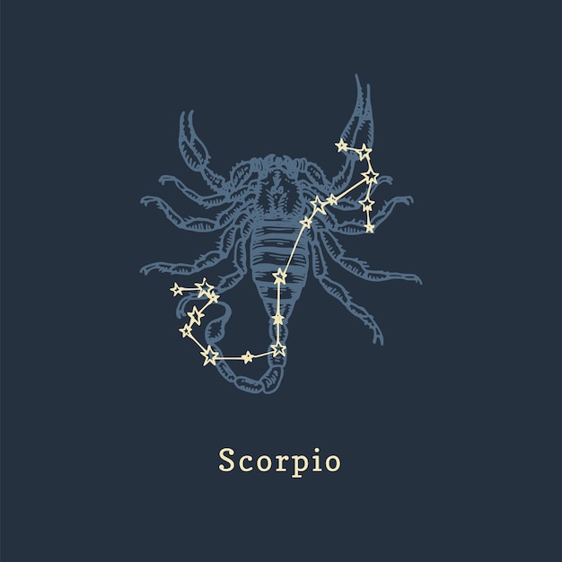 Constellation Du Zodiaque Du Scorpion Dans Le Style De Gravure Illustration Graphique Rétro Vectorielle Du Signe Astrologique Scorpion