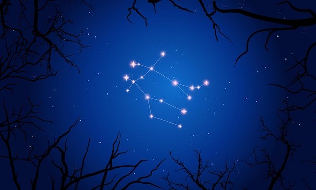Vecteur constellation des gémeaux. étoiles sur le ciel nocturne bleu avec silhouette d'arbre effrayant