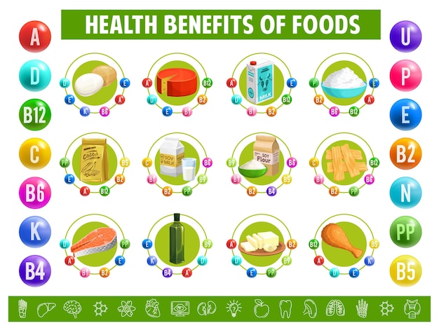 Vecteur contenu de la table graphique des vitamines et des minéraux dans les aliments vecteur oeufs fromage lait de vache ou de soja et lait caillé cacao farine de soja et viande de soja ou peau de tofu huile de poisson et beurre avec cuisse de poulet