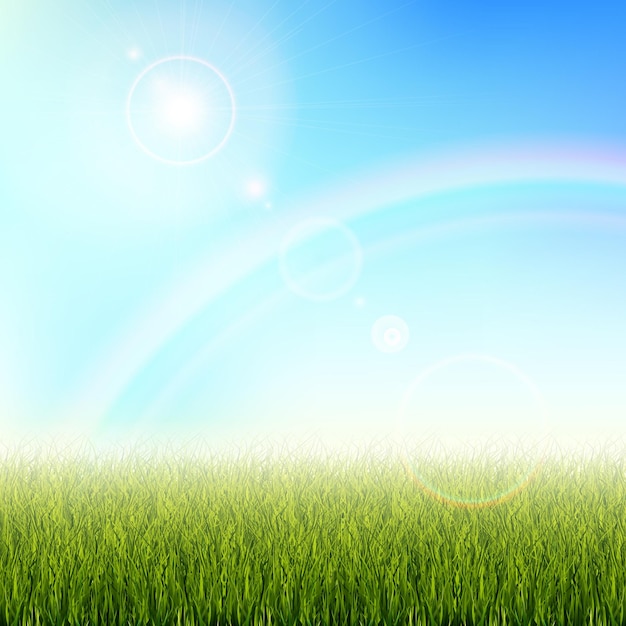 Contexte d'une présentation sur l'écologie L'herbe avec l'éblouissement du soleil