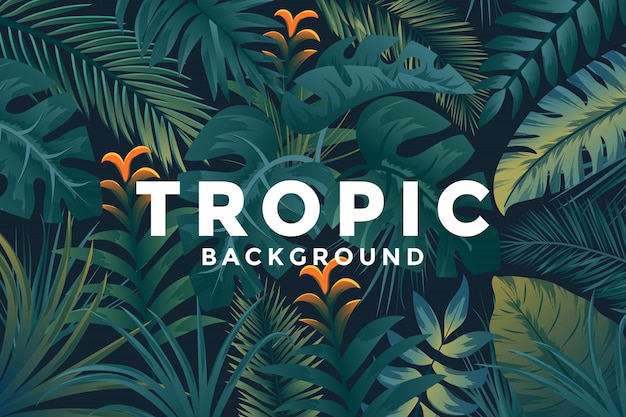 Contexte tropical