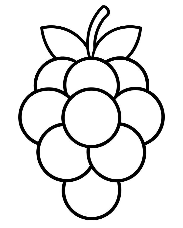 Vecteur contour d'art vectoriel de pamplemousse pour la conception de pages à colorier