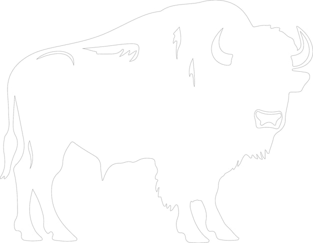 Vecteur contour de bison avec fond transparent