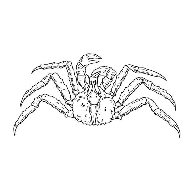 Vecteur contour dessiné à la main de fruits de mer de crabe