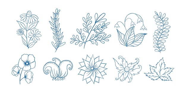 Vecteur contour doodle collection illustration botanique florale pour livre coloriage