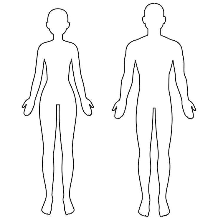 Vecteur contour du corps masculin et féminin