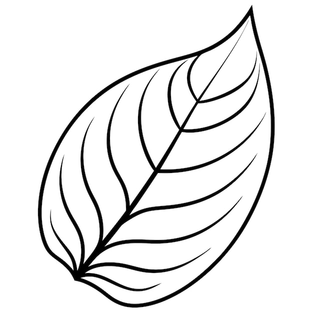 contour de feuille livre de coloration page d'art de ligne illustration dessin numérique