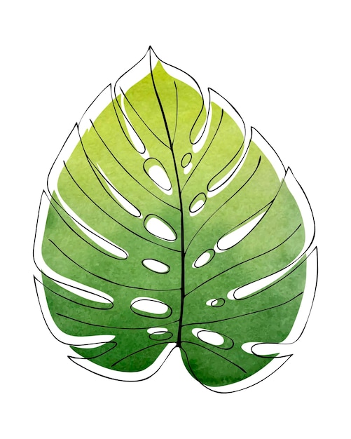 Contour De Feuille De Monstera Sur Un Fond Aquarelle Vert Fond Aquarelle En Forme De Feuille