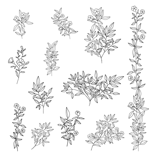 Contour De Feuilles De Fleurs Dessinées à La Main