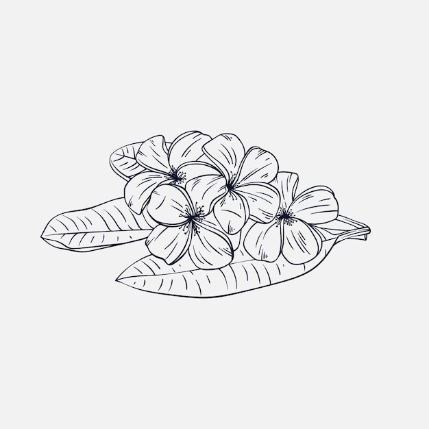 Contour de fleur simple dessiné à la main