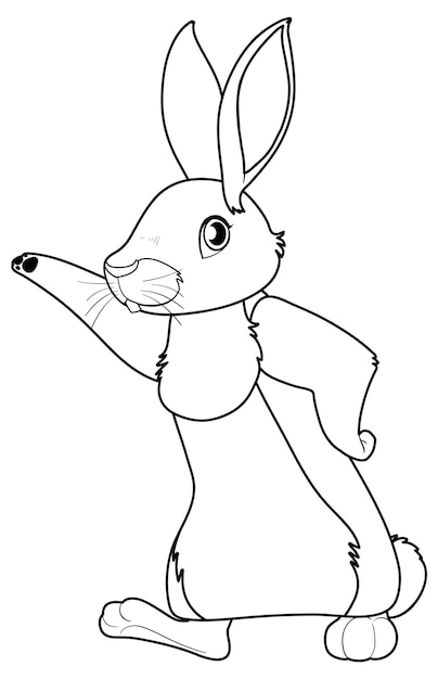 Contour de griffonnage de lapin à colorier