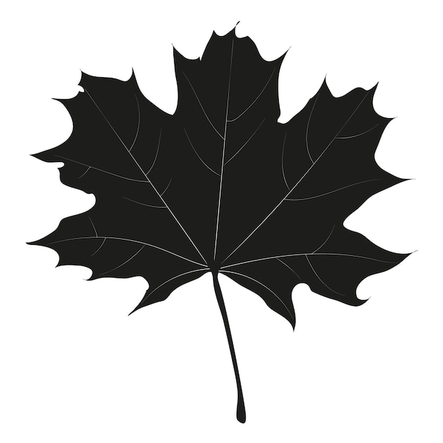Contour naturel de la feuille d'érable noire Botanique Symbole du Canada Vector