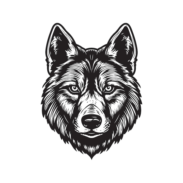 Cool loup vintage logo concept noir et blanc couleur illustration dessinée à la main