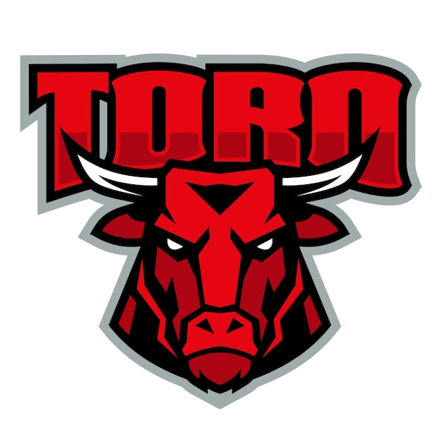 Cool Toros Sport