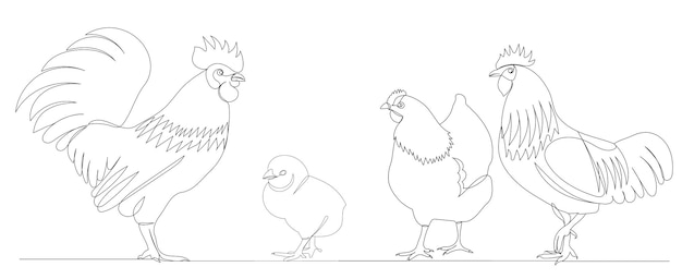 Coq Et Poule Dessin Par Un Vecteur De Ligne Continue