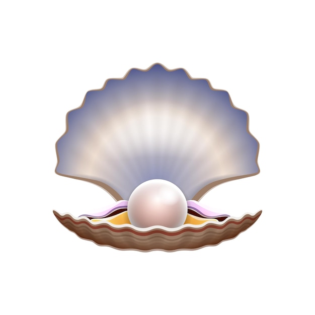 Vecteur coquille de coquillage de dessin animé avec perle mettant en valeur la beauté naturelle et l'élégance dans une combinaison harmonieuse crête de coquille vectorielle isolée ornée d'une sphère brillante symbolisant la pureté et le trésor de l'océan