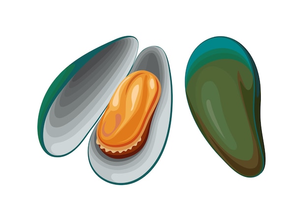 coquille de palourde verte coquillage de mer coquillage animal huître illustration vectorielle