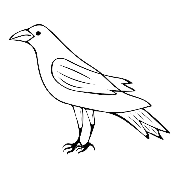 Corbeau dessinée à la main sur une illustration vectorielle de fond clair