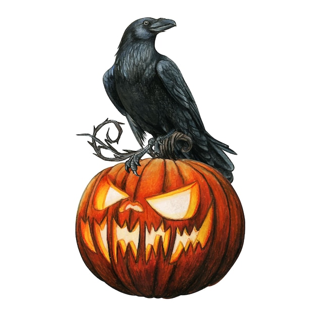 Vecteur corbeau occidental d'aquarelle sur une citrouille d'halloween rougeoyante découpée