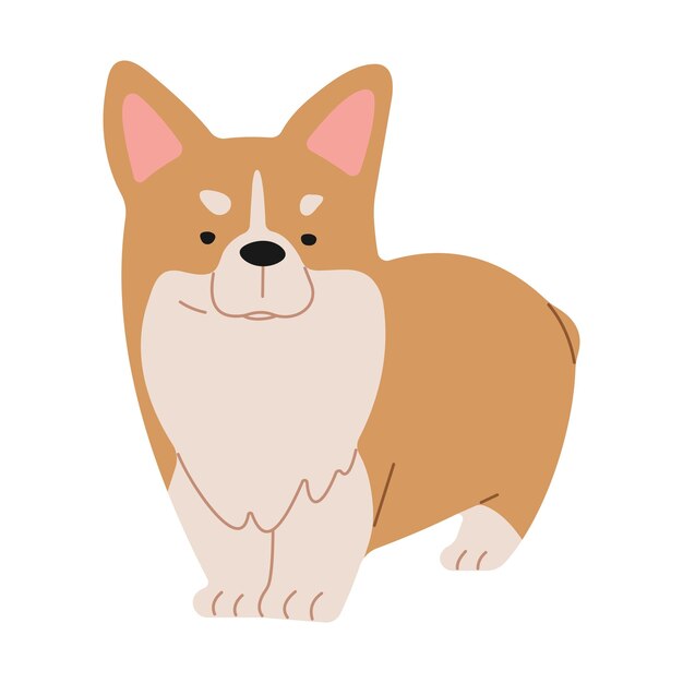 Vecteur corgi gallois 1