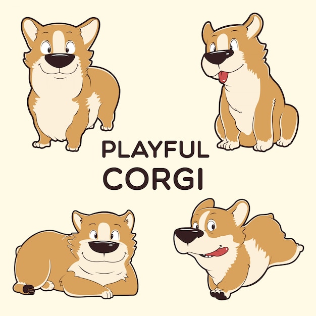 Vecteur corgi ludique