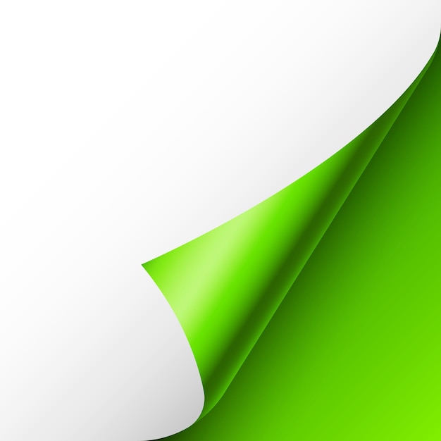 Corner de page enroulé en papier vert avec une feuille de papier blanche à l'ombre dessin en feuille brillante colorée