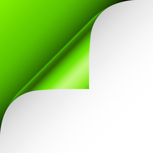 Corner de page enroulé en papier vert avec une feuille de papier blanche à l'ombre dessin en feuille brillante colorée