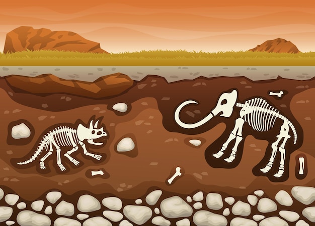 Vecteur couches de sol avec des fouilles de paléontologie fossile de dinosaure cartoon vector horizontale transparente