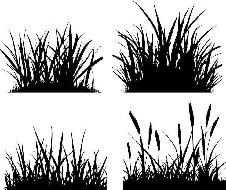 Vecteur couleur noire de silhouette de vecteur d'herbe