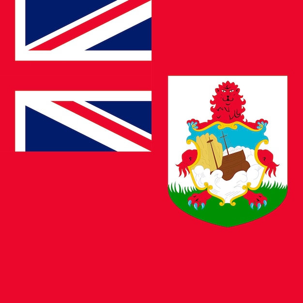 Couleurs Officielles Du Drapeau Des Bermudes Illustration Vectorielle