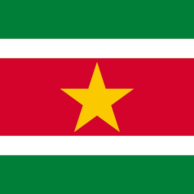 Vecteur couleurs officielles du drapeau du suriname illustration vectorielle