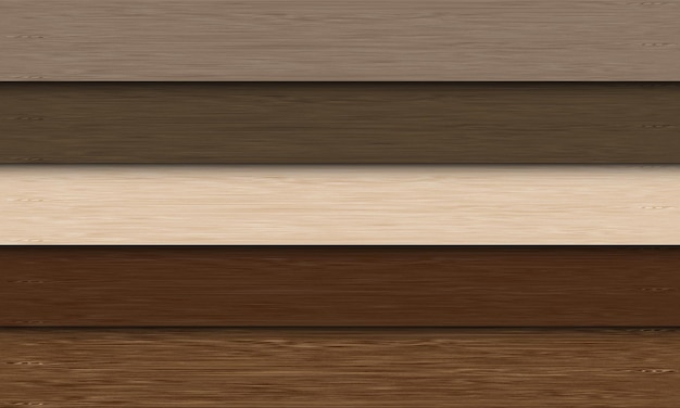 Couleurs de planche de bois réalistes définies pour le vecteur de fond de conception de mur de plancher de maison