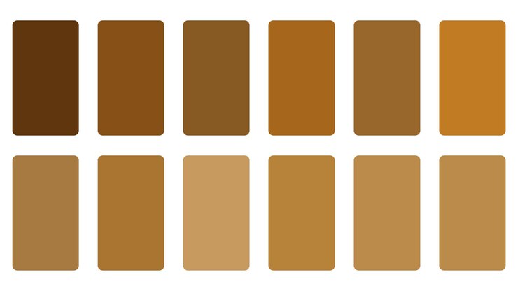 Vecteur les couleurs de la série sont brun brun et brun