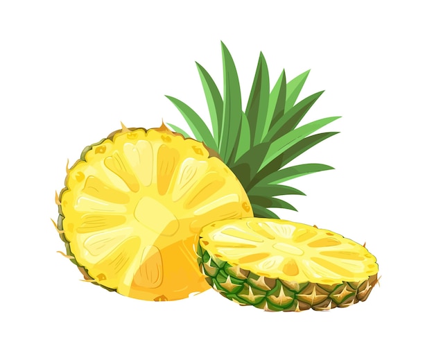 Coupe Transversale De Fruits Ananas Exotiques Avec Feuille Supérieure Isolé Sur Fond Blanc Illustration De Dessin Animé De Vecteur