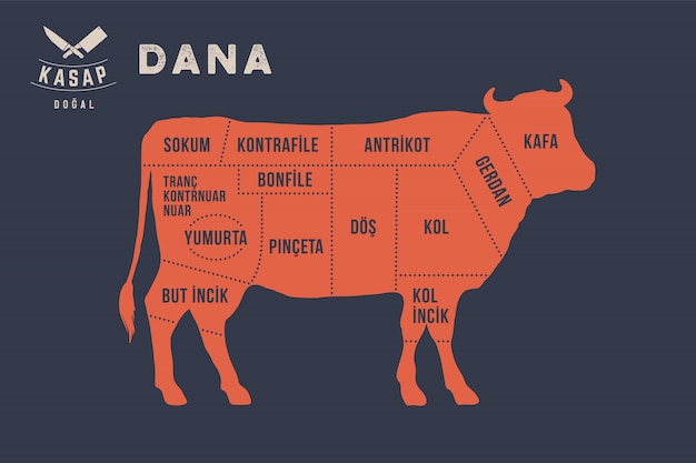 Coupes De Viande. Poster Diagramme De Boucher - Dana